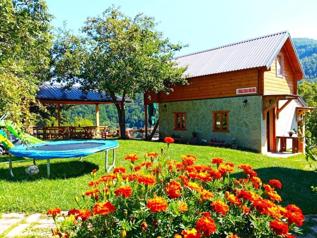 Kraljska Koliba - Kralje'S Cottage Andrijevica Extérieur photo