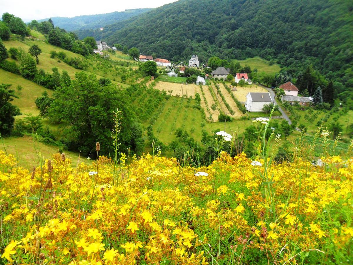 Kraljska Koliba - Kralje'S Cottage Andrijevica Extérieur photo