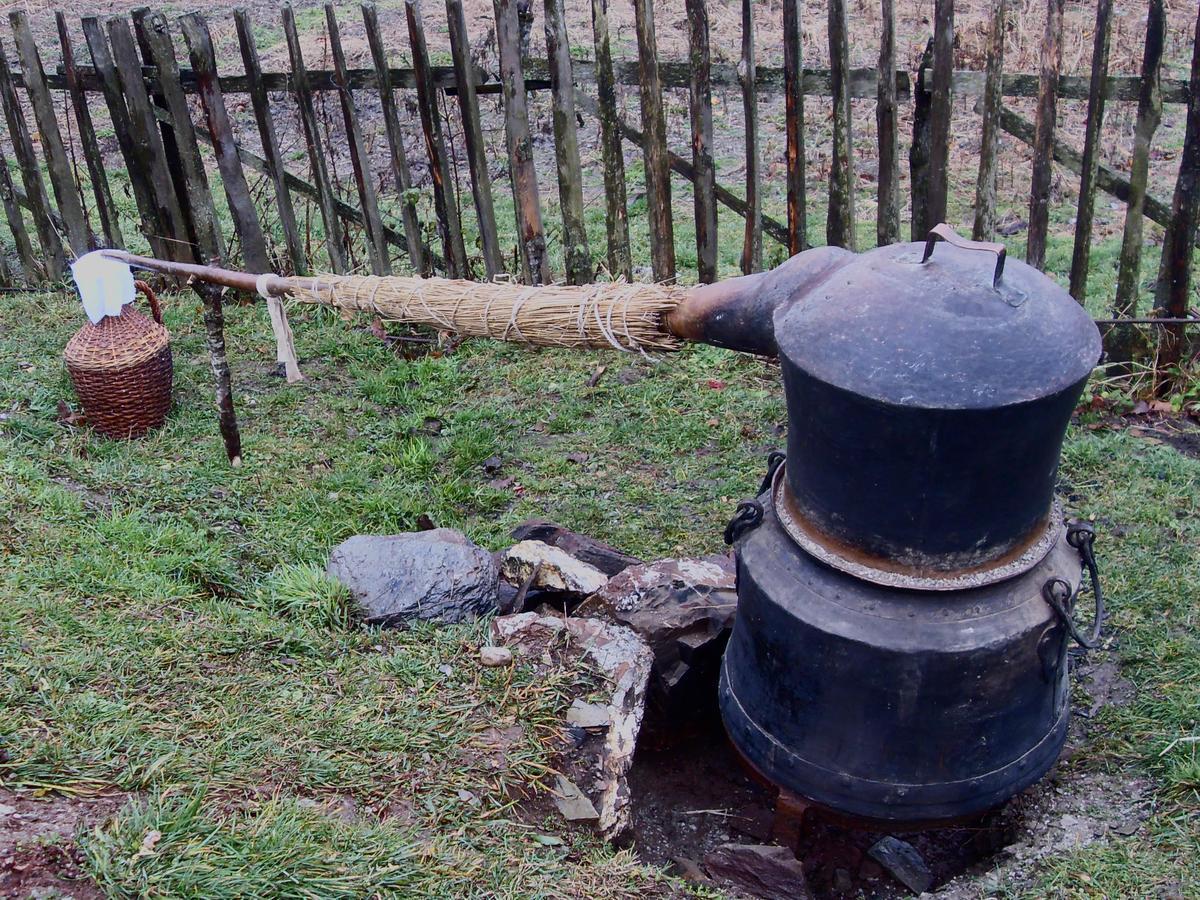 Kraljska Koliba - Kralje'S Cottage Andrijevica Extérieur photo