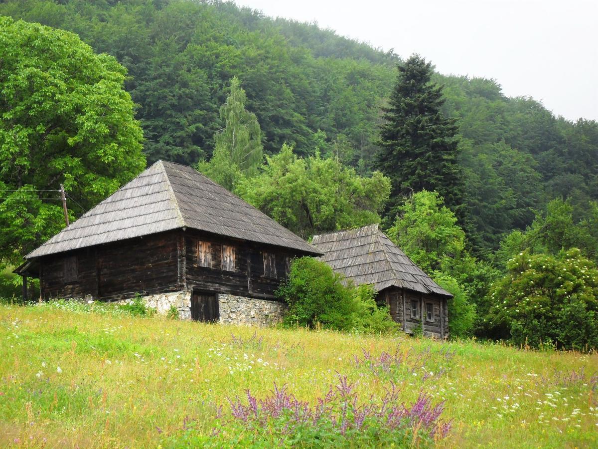 Kraljska Koliba - Kralje'S Cottage Andrijevica Extérieur photo